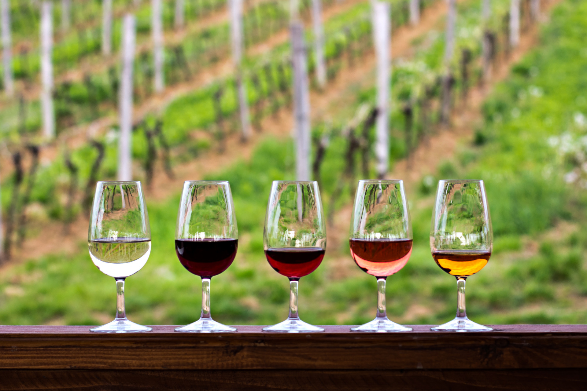 The Beginner’s Guide to Wine Varieties