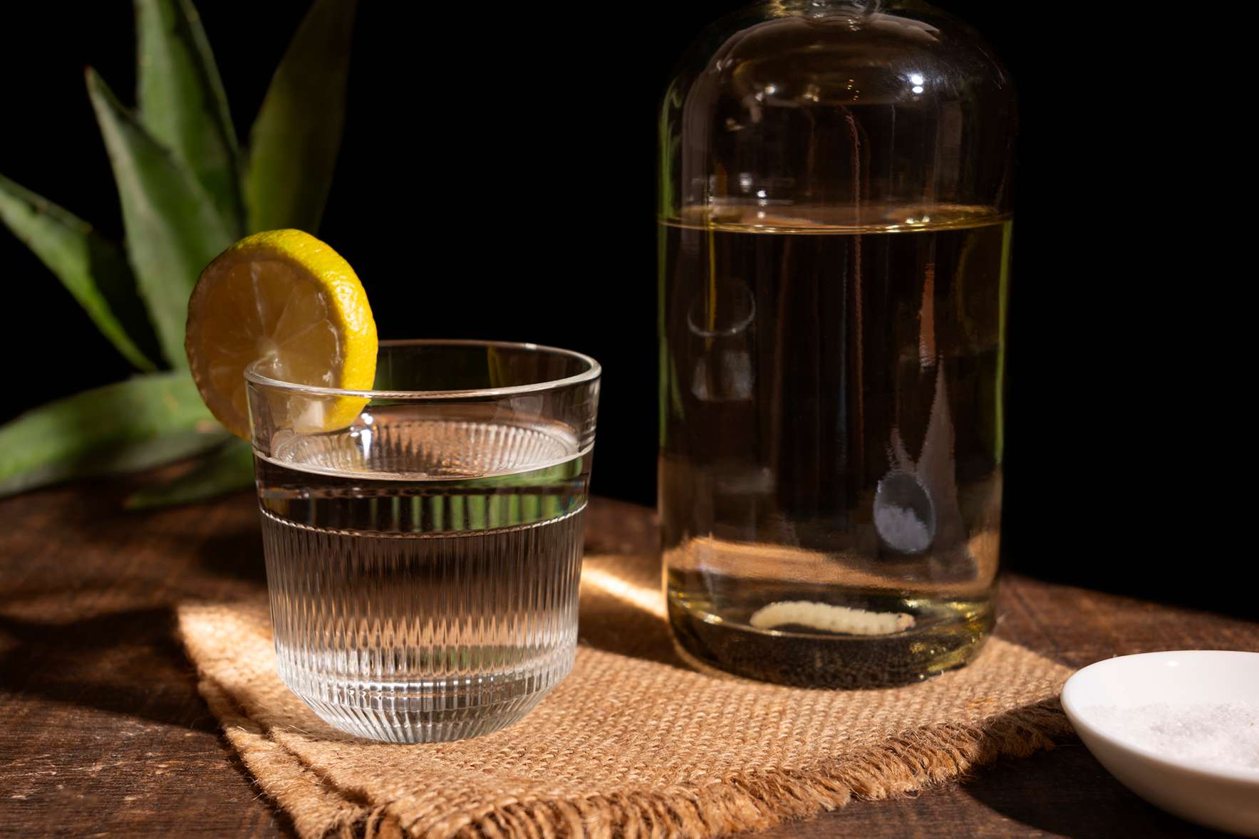 Everything You Should Know About Mezcal